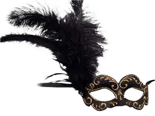 Bal masker met zwarte verenpluim
